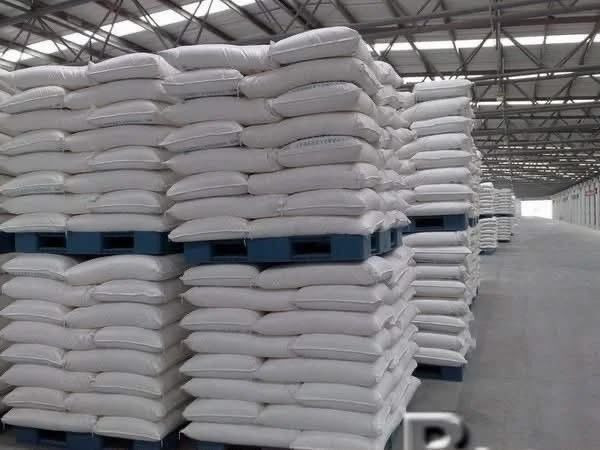 Chickpeas for Wholesale Export