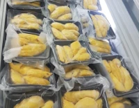 Premium Frozen Durian Pulp | 100% Natural | Wholesale & Bulk Export Supplier
