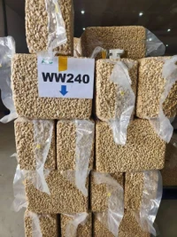 Premium Cashew Nuts for Wholesale Supply
