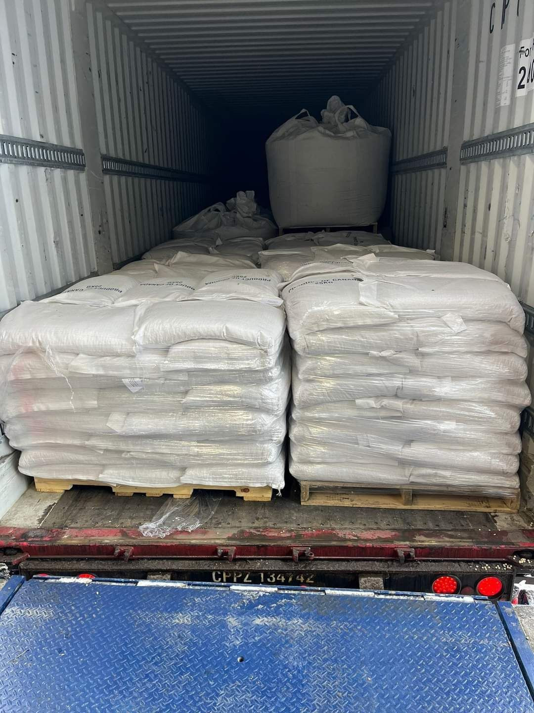 Kidney Beans for Wholesale Export