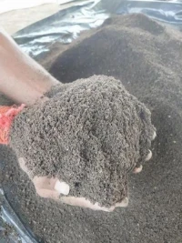 DAP (Diammonium Phosphate) Fertilizer for Wholesale Export