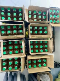 Refined Canola Oil for Wholesale Export