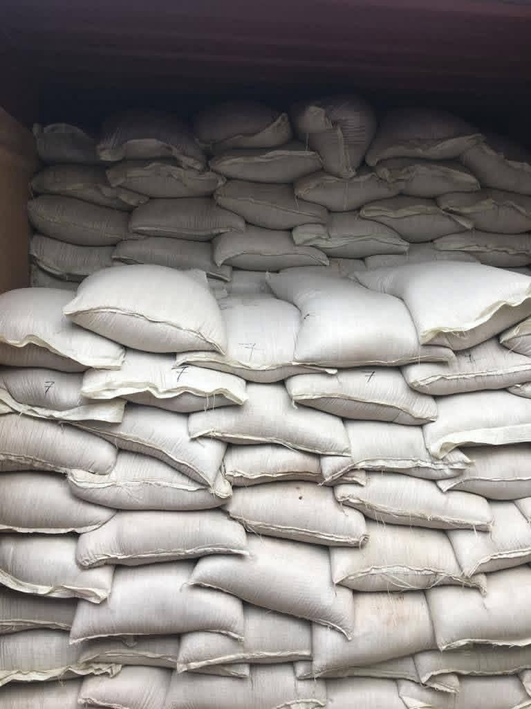Kidney Beans for Wholesale Export