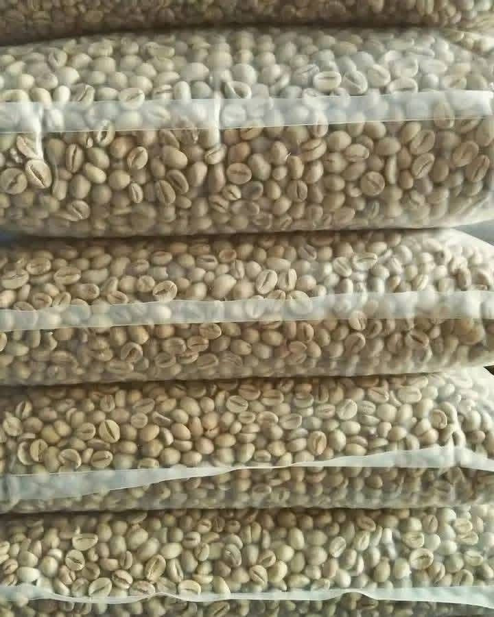 Coffee Beans for Wholesale Export