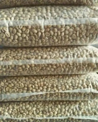 Coffee Beans for Wholesale Export