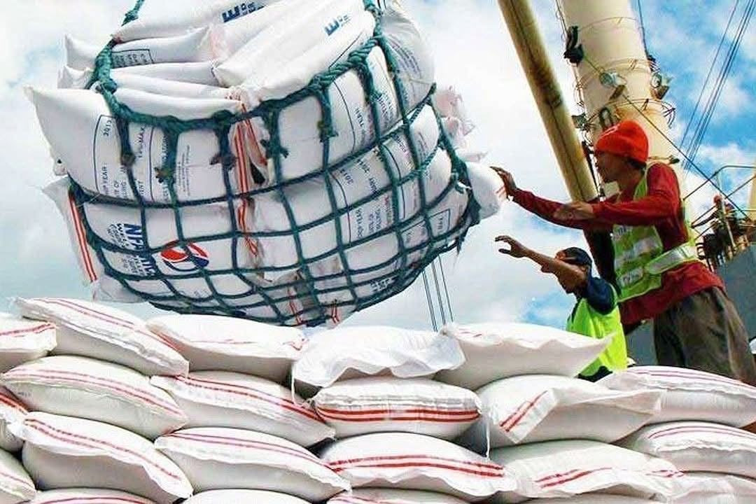 Chickpeas for Wholesale Export