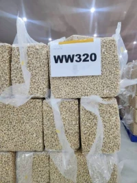 Premium Cashew Nuts for Wholesale Supply