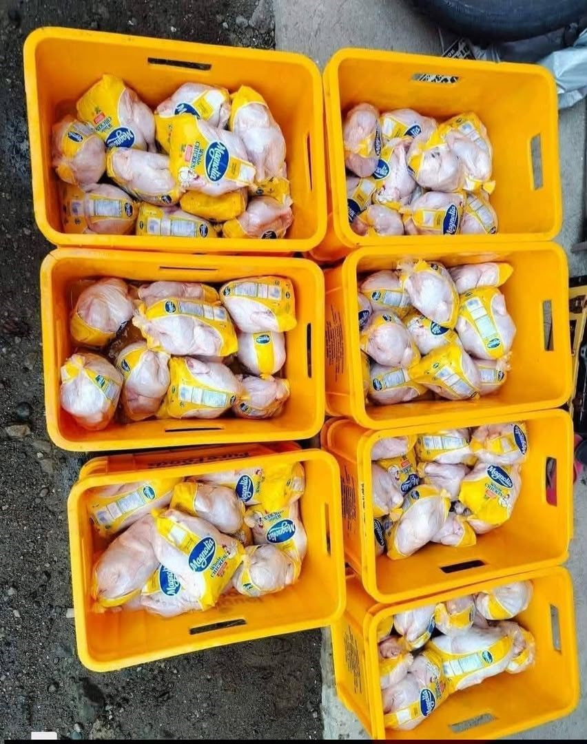 Whole Frozen Chicken for Wholesale Export