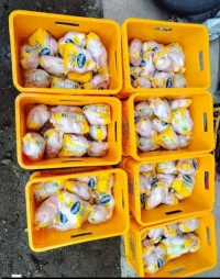 Whole Frozen Chicken for Wholesale Export