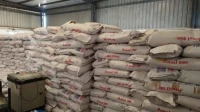 Skimmed Milk Powder (SMP) for Wholesale Export