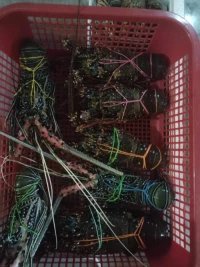 Frozen Lobster – Premium Quality Seafood for Global Markets