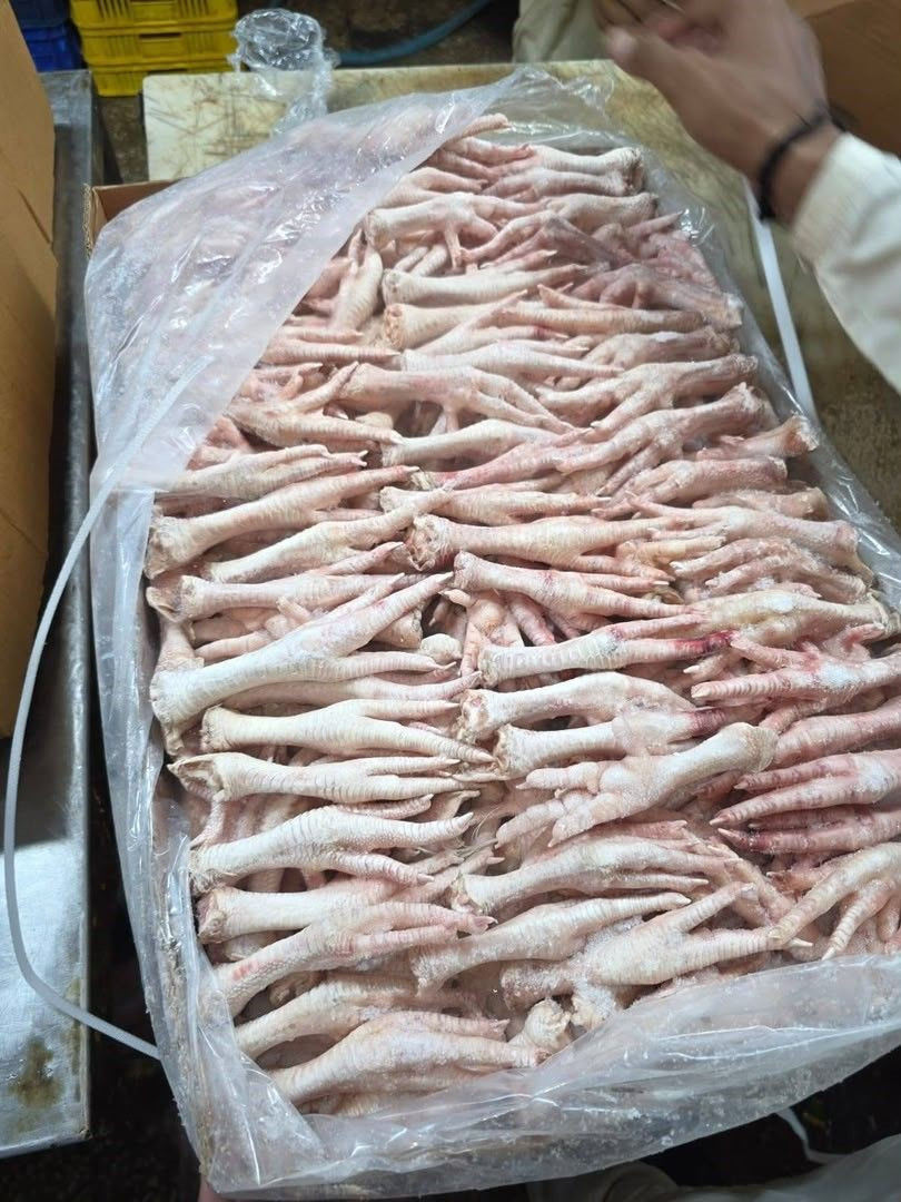 Frozen Chicken Feet for Wholesale Export