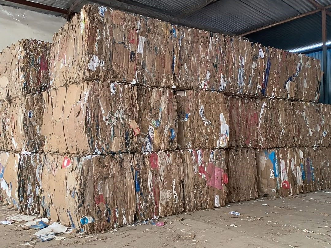 Paper Scrap for Recycling – Wholesale Export